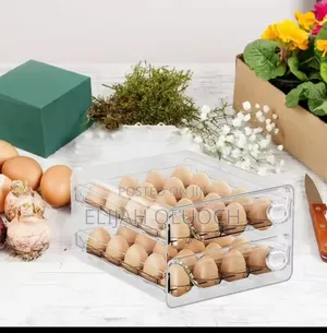 24 Grid Egg Tray