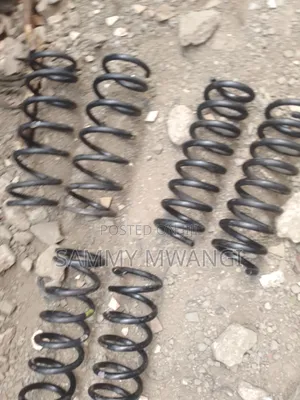 Lexus Heavy Duty Coil Springs