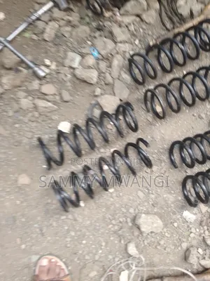 Nissan Lafesta Haevy Duty Coil Springs