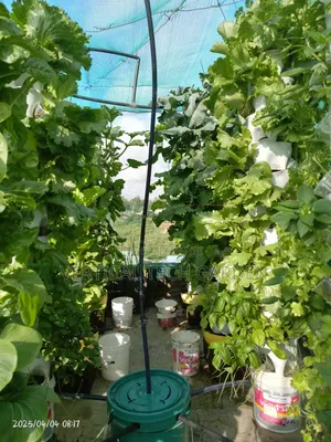 Tower Garden