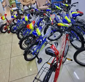Lion King Bicycle Size 12