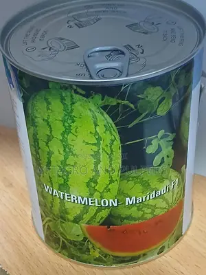 Watermelon - Maridadi F1