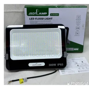 300w  Electric Flood Light