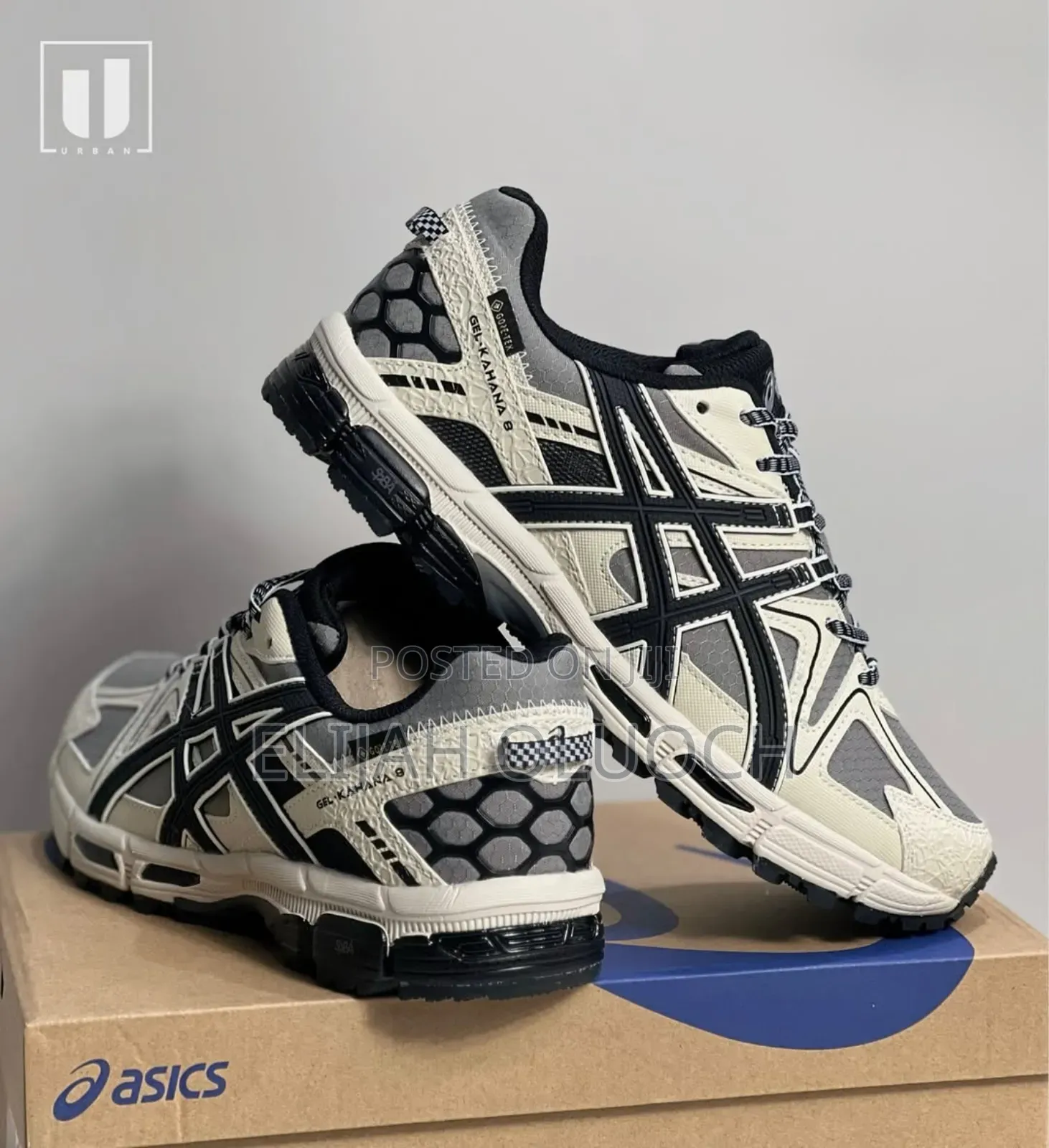 Asics Trainer Shoes