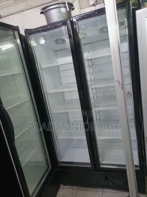 Twin Display Fridge 1200l
