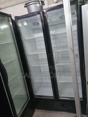 Twin Display Fridge 1200l
