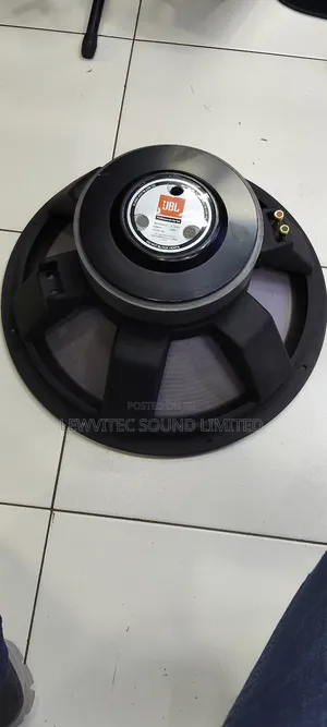 JBL Double Magnet Speaker