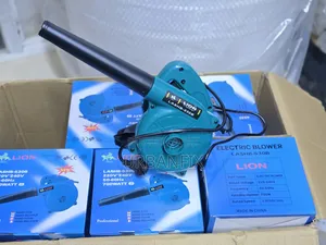 Powerful Heavy-Duty 700watts Air/Dust Blowers