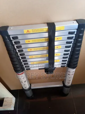 10 Step Telescopic Ladder