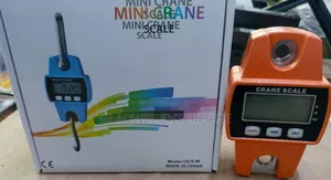 300kg Digital Mini Crane /Hanging Scale