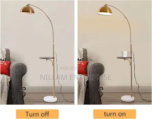 Adjustable Arc Floor Lamp*