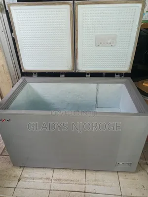 Premier Silver Deep Freezer Fridge