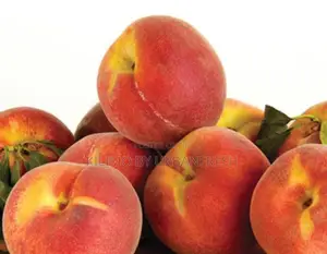 Red Peach Fruit Seedling Moq5