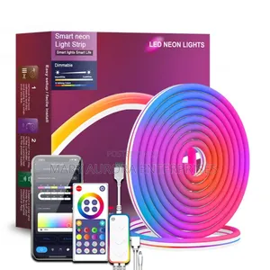 Led Neon Lights/Strip Light