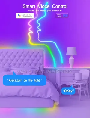 Led Neon Lights/Strip Light