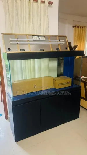 Customized Fish Tank With All Equipment and Fish