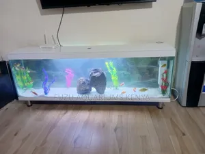 Long Tv Stand Aquarium, Good Quality Glass