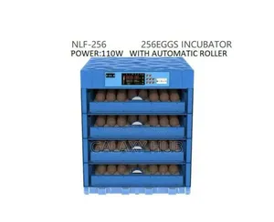 256 Eggs Ac/Dc Automatic Incubator