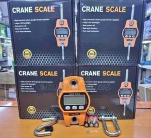 Quality 300kg Digital Crane Hanging Scale
