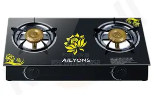 Ailyons 2 Burner Table Top Stainless Steel Gas Stove Cooker