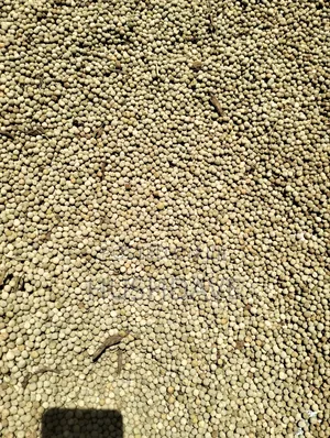Peas -Minji (Grano)