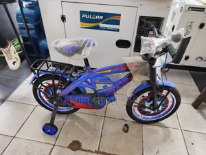Premier Smart Bike For Kids Age 3yrs Above Sz16