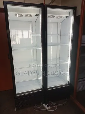 Double Door Display Fridge