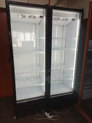 Double Door Display Fridge