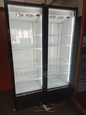 Double Door Display Fridge