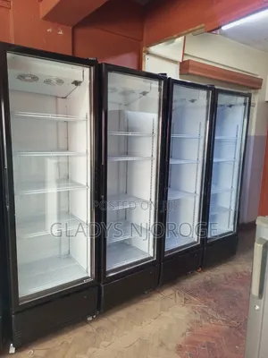 Clean Display Chiller (Well Maintained)