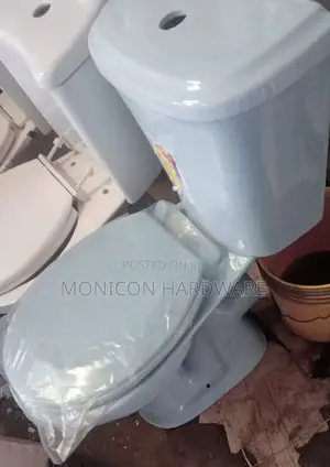 Toilet Seat (Blue Orient)