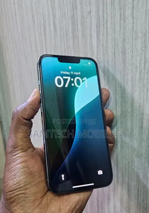 Apple iPhone 13 Pro 256 GB Gray