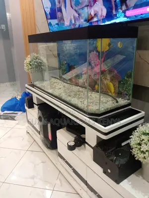 Home Aquarium Set With 10 Fish 3 Months Supplies