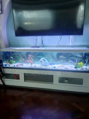 Stunning Aquarium Package – For Instant Serenity