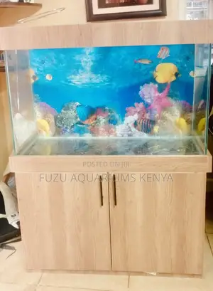 Breathe Life Into Your Space – 3ft Aquarium With Cabinet
