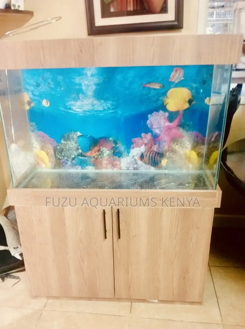 Aquarium Experience With a Cabinet – Fish, Décor, and More