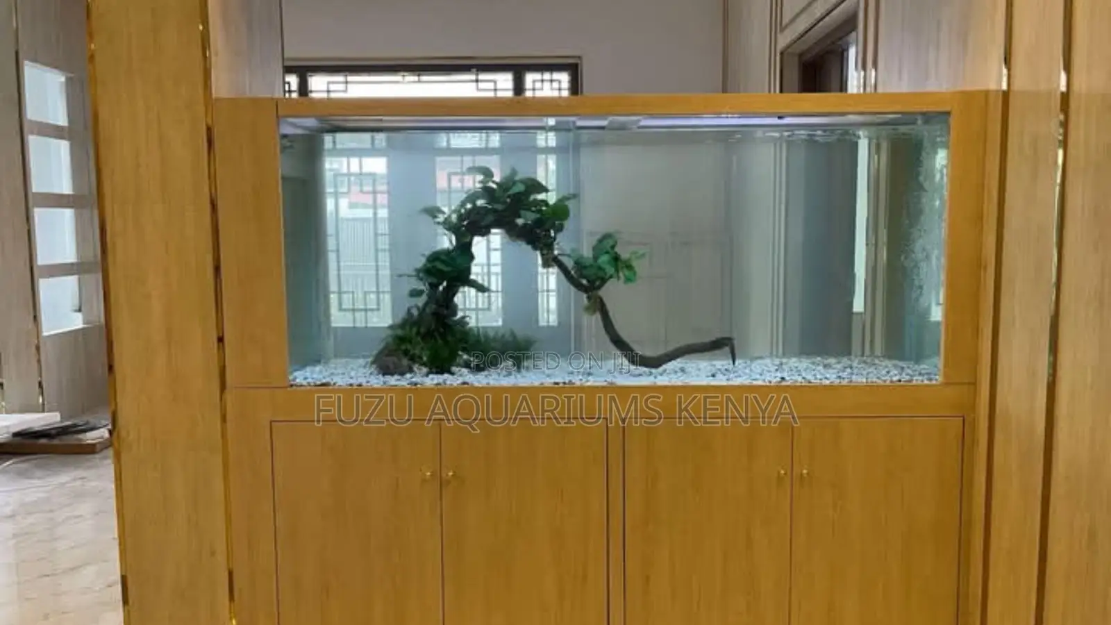 Wall Elegance Aquarium – Where Living Art Meets Design