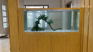 Wall Elegance Aquarium – Where Living Art Meets Design