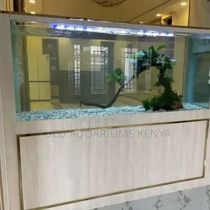 Aquarium Walls – Seamless Aquatic Beauty for Your Space