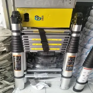 6m a Flame Telescopic Ladder