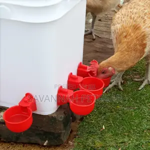 Red Cup Automatic Poultry Drinker Fitted On A Container