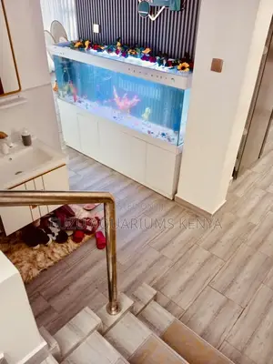Space-Saving Aquarium Cabinet Combo Deal