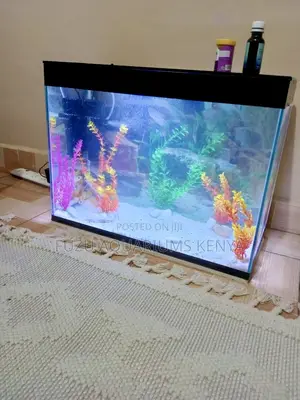 Medium Serenity Tank – Balance of Beauty Space