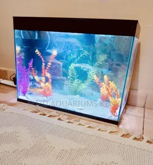 Aquarium Medium – Ideal for Any Room