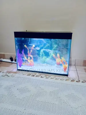 Vibrant Waters – Medium Aquarium Experience