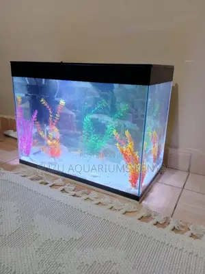 Aquarium Medium – Balanced Beautiful