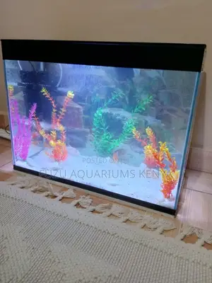 Freshstart Aquarium Tank – Great for Beginners