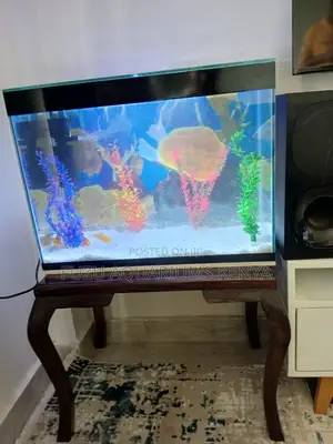 Aquacore Medium – Clean Design, Full Setup