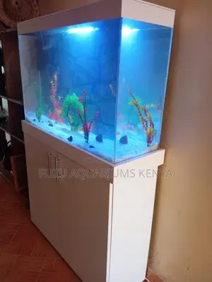 Crystalwhite Aqua Cabinet – Style Meets Serenity
