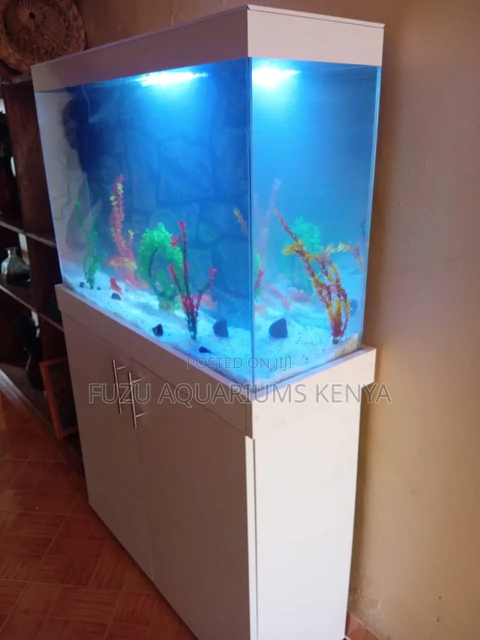 Snowglide Aquarium Combo – Chic, Clean, and Complete